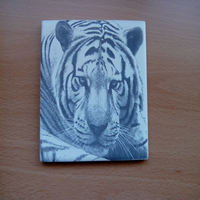 Azulejo grabado